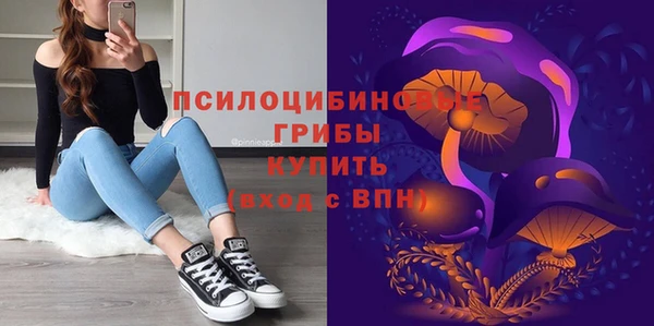 гашиш Богданович